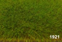 Grasfaser lang Wiesengrün